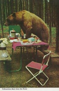 Bear Picnic Table small b.jpg