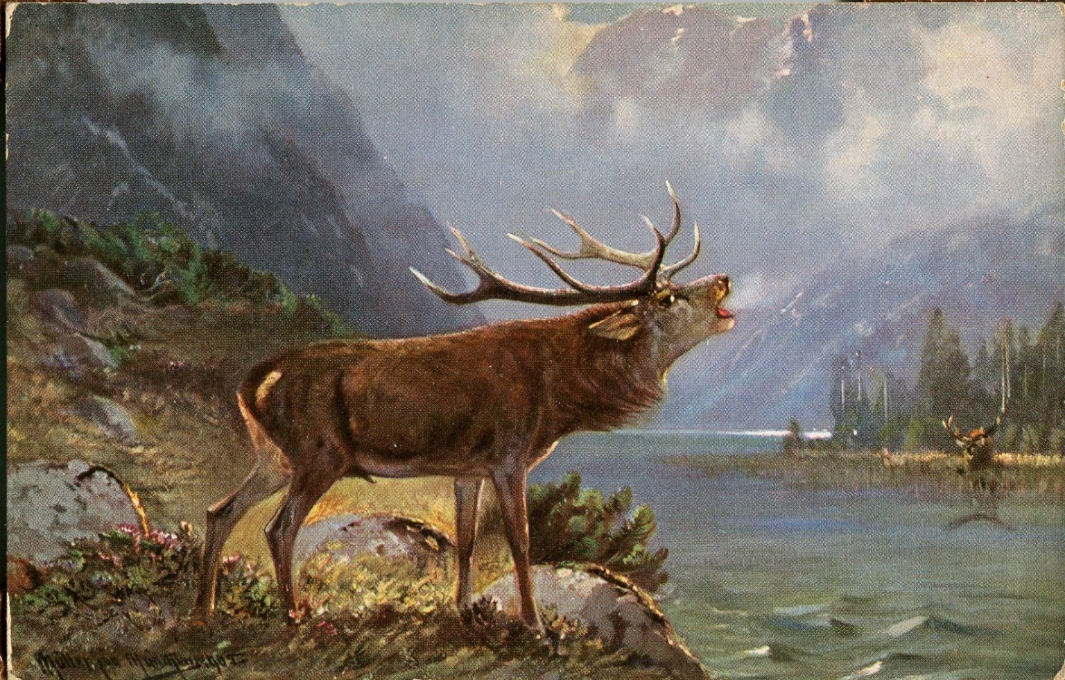 Tuck Postcard History