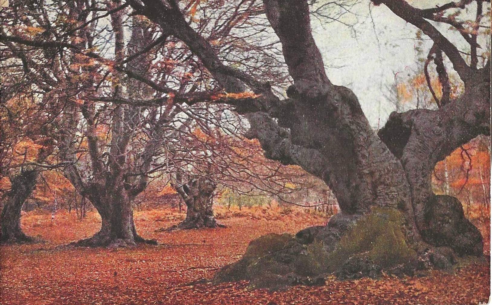 OAKTREE UK Banner 'Ce L'hai Fatta' – 2,7 Metri Di Lunghezza, Per Feste E Celebrazioni, Fornito Piatto
