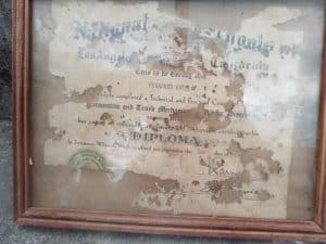 thumbnail_IMG_20250407_134300