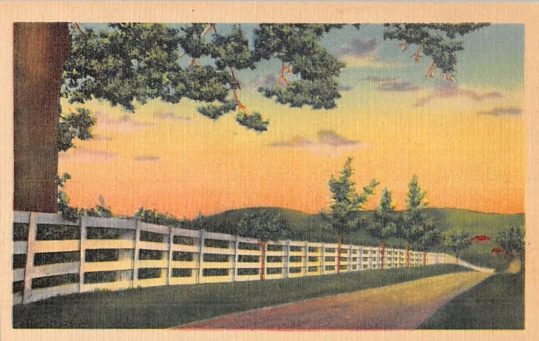Fences